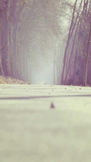 免费在线吃瓜截图3