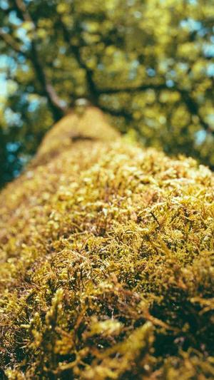 黑料不打烊换地址了吗截图4