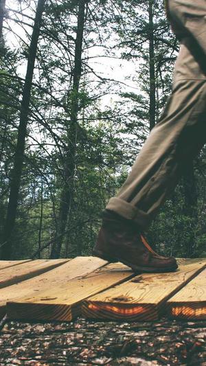 哈密瓜和梨子一起吃吗截图1