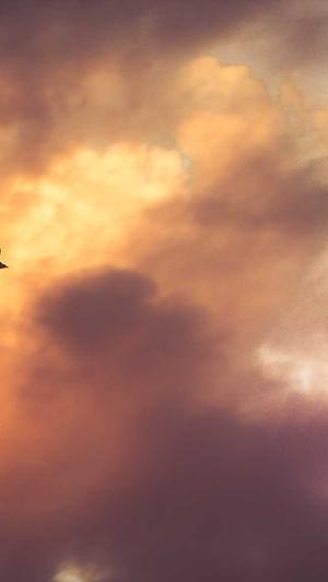 91黑料正能量APP截图4