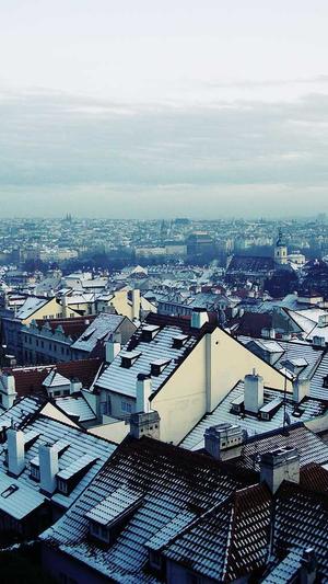 蒋依依黑料截图4