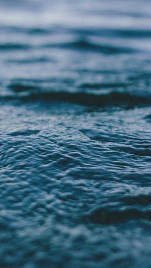 孕妇中期可以吃哈密瓜吗截图4