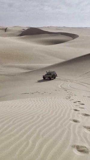 tttzzz.su黑料入口截图3