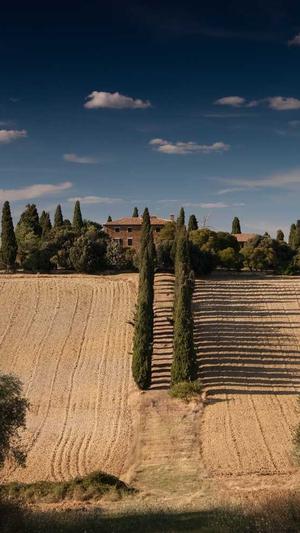 吃瓜视频在哪里找截图3