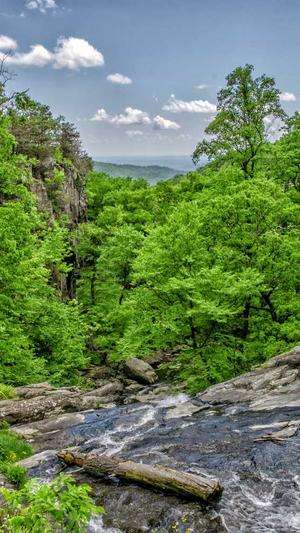 脸红dearie的黑料截图3