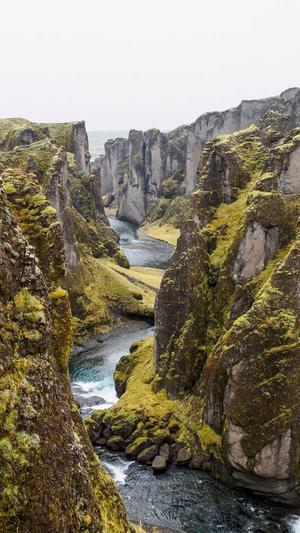 赵露思黑料截图2