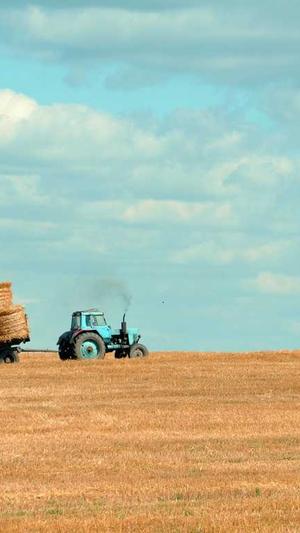 吃瓜福利导航截图2