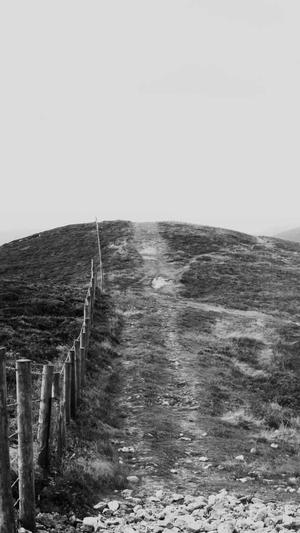 汉青书半霍去病黑料截图2