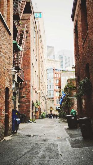 孕早期可以吃哈密瓜吗截图3