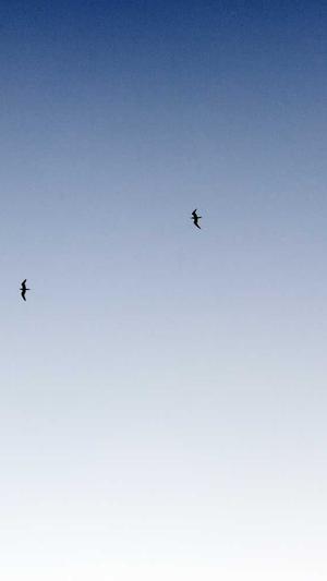 黑料是什么意思截图4