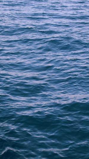 聚氨酯黑料品牌截图2