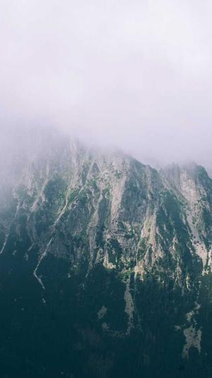 杨超越黑料截图1