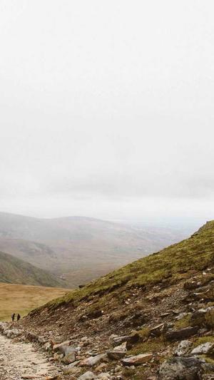 福利8.su黑料正能量入口截图4