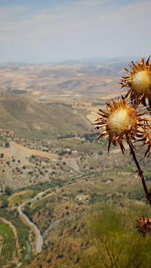 51吃瓜网今日吃瓜入口截图5