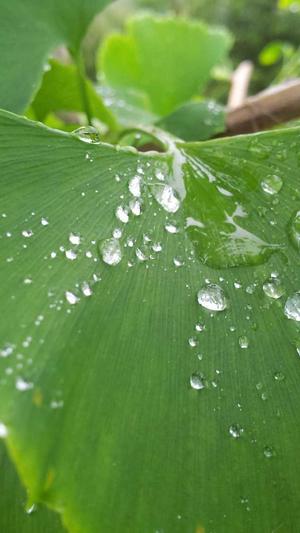 黑料正能量备用地址截图1