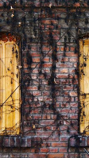 冬天可以吃哈密瓜吗截图1