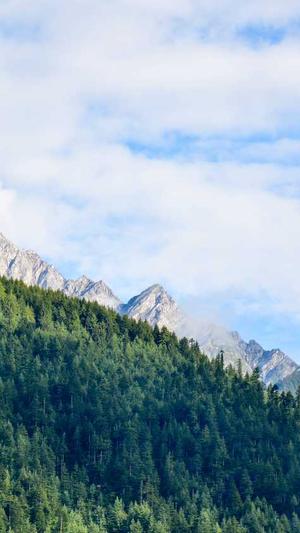 51吃瓜网改成什么了截图5