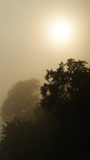 谭松韵黑料截图1