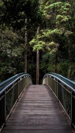 哈密瓜坐月子可以吃吗截图5