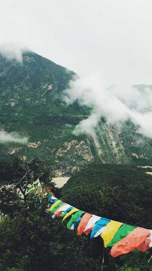 黑料老司机截图1