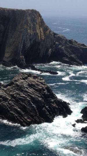 吃瓜群众啥意思截图1