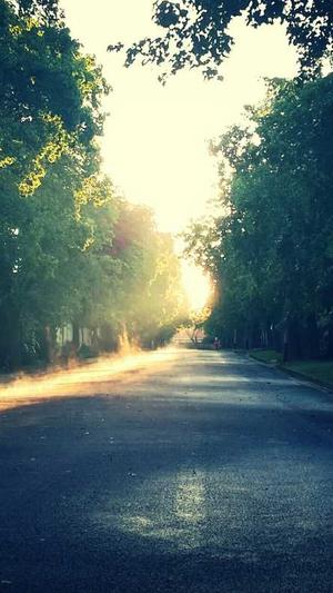 拉肚子可以吃哈密瓜吗截图2