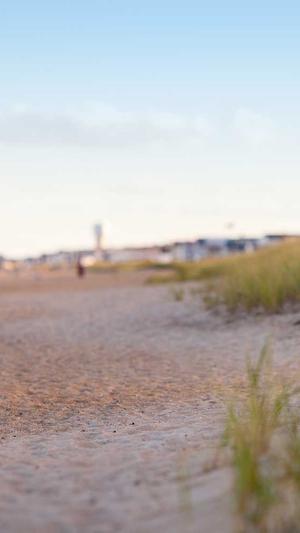 黑料不打烊,痞幼截图4