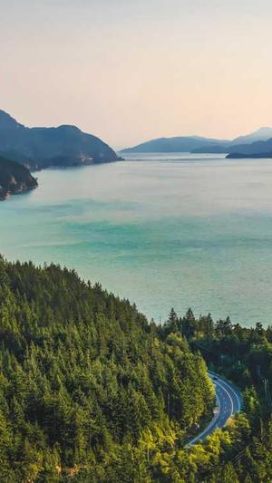 吃瓜是什么意思?截图2