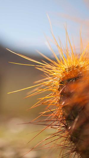 聂小雨视频黑料全程截图1