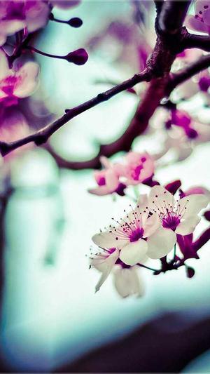 51吃瓜网 - 免费吃瓜 入口截图2