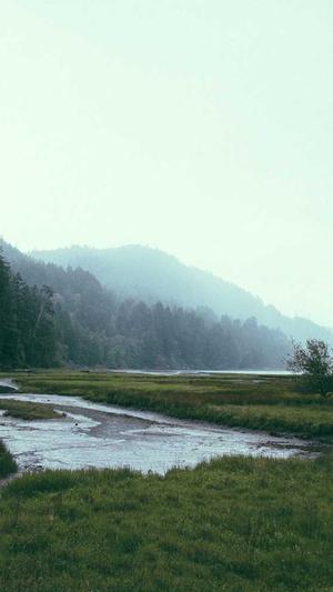 51黑料不打烊吃瓜截图1