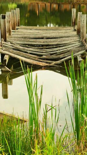 fox胡天渝黑料截图1