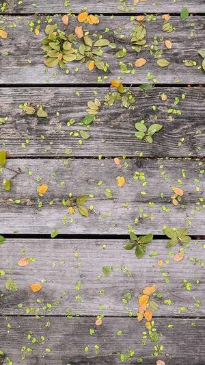 兰瓜不能和什么一起吃截图2