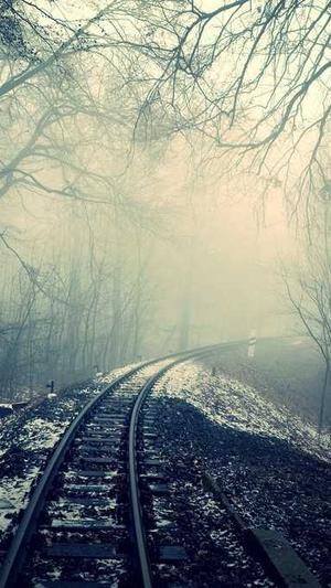 快穿世界吃瓜第一线截图2