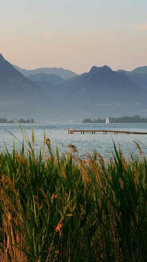 黑料网官网截图3