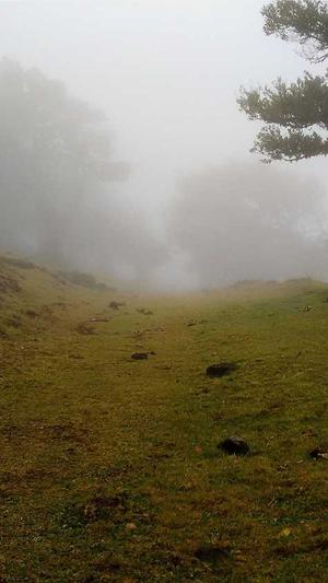 黑料正能量小视频截图3