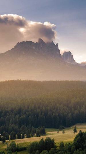 黑料网老司机截图1