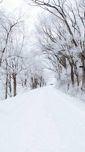 51黑料不打烊吃瓜截图4