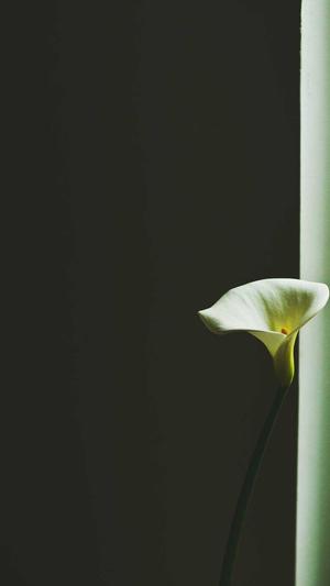 吃瓜曝光黑料不打烊截图4