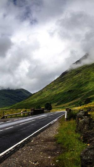 佛手瓜怎么吃没毒截图3