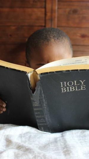 免费在线吃瓜截图2