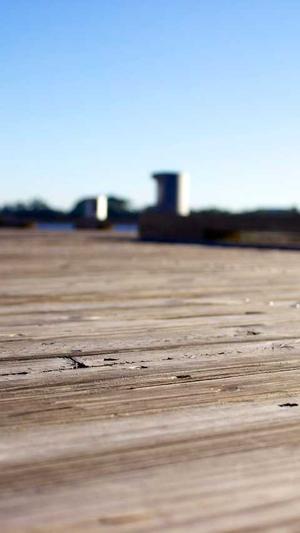 黑料在线视频截图1