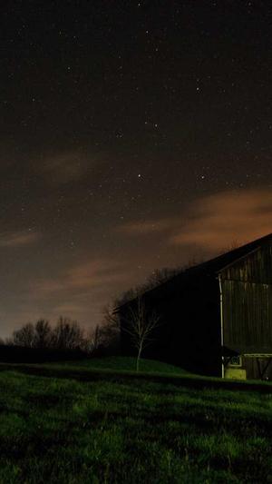 哈密瓜能蒸着吃吗截图4