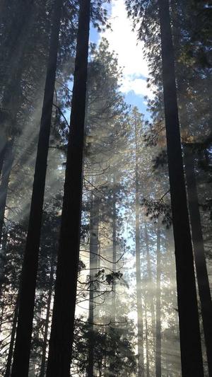 998.su黑料正能量入口截图1