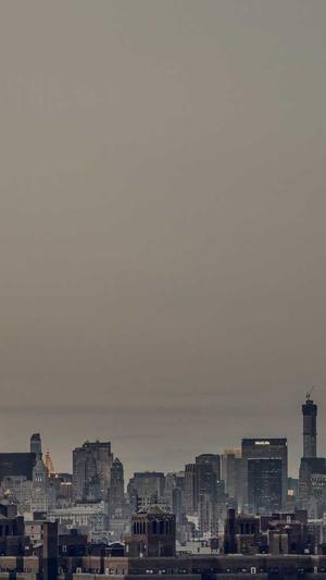 佟丽娅的黑料截图1